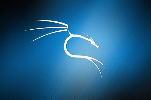 Kali linux не устанавливается wicd