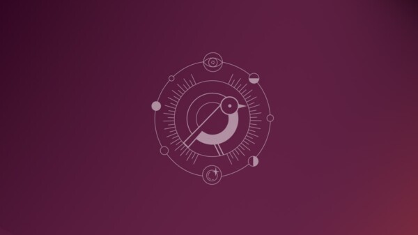 Ubuntu 24.10